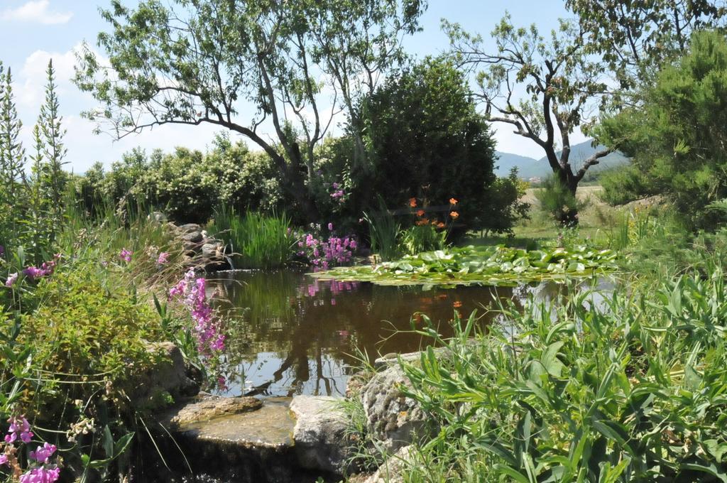 La Verdine Vérin Quarto foto